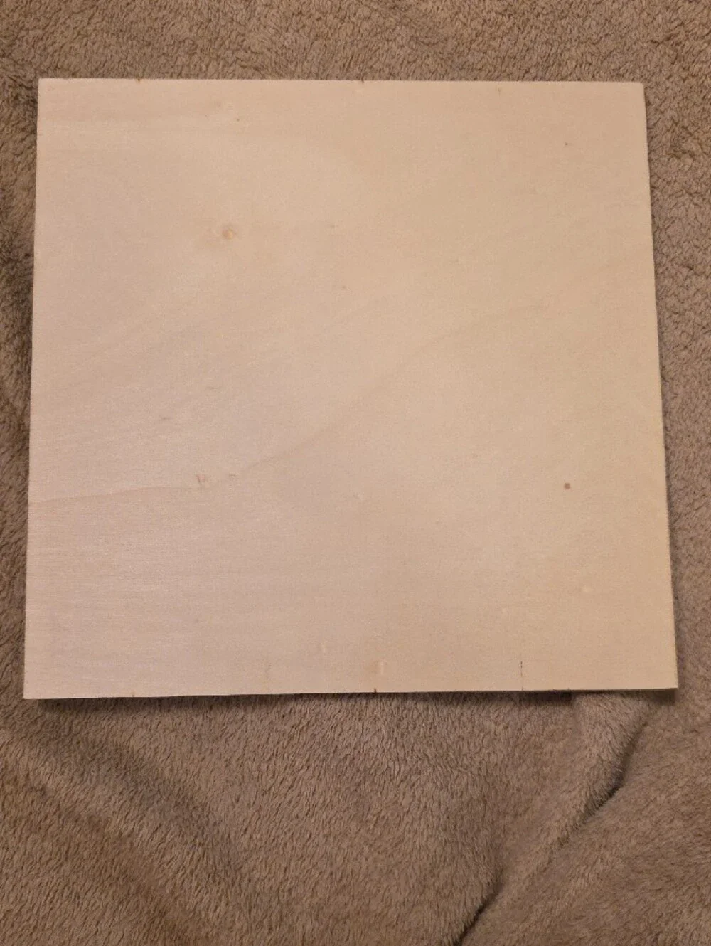 NWOT Classic Chapel Landscape Wall Art - White & Brown